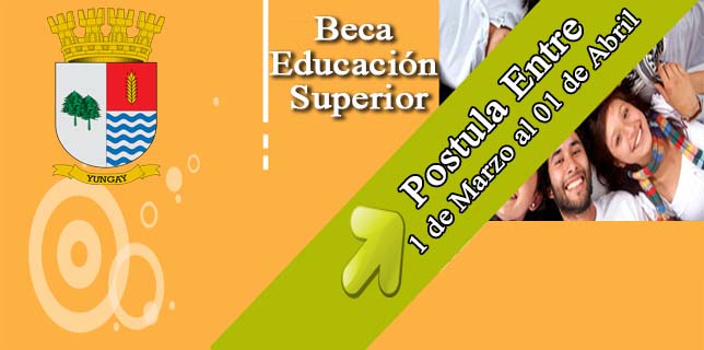 Beca Educación Superior